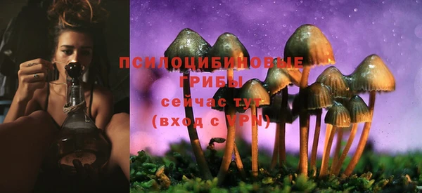 марки lsd Верея